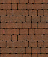  Тротуарная плитка Выбор Классико Листопад А.1.КО.4 Гранит 40 мм Мустанг: внешний вид